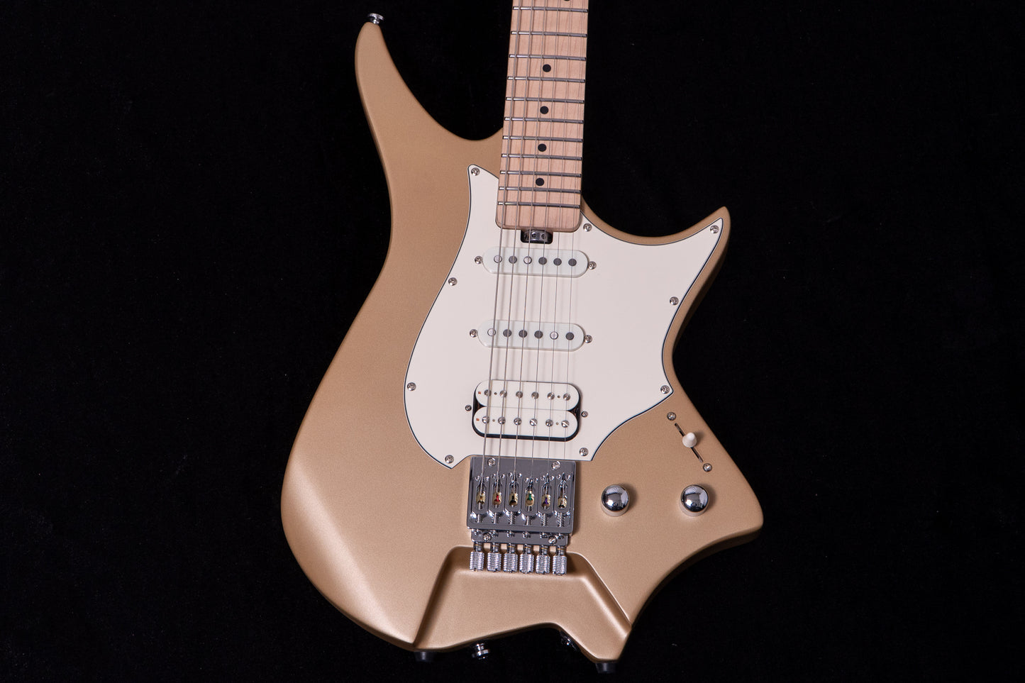 【new】HEX Guitars / NS100M S/SS