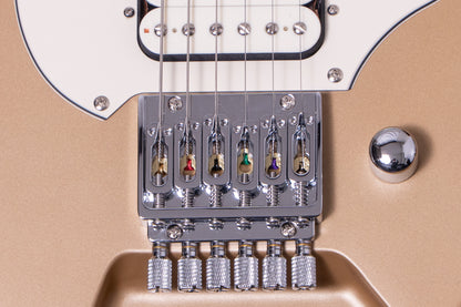 【new】HEX Guitars / NS100M S/SS