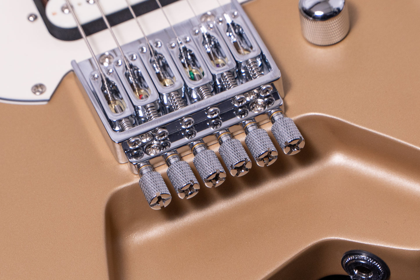 【new】HEX Guitars / NS100M S/SS
