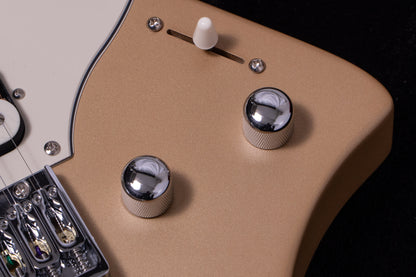 【new】HEX Guitars / NS100M S/SS