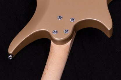 【new】HEX Guitars / NS100M S/SS