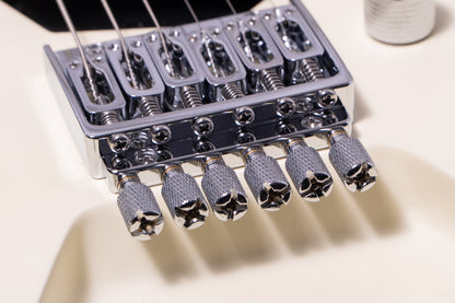 【new】HEX Guitars / NT100R S/IV