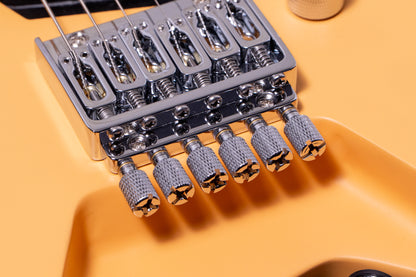 【new】HEX Guitars / NT100M S/BSC