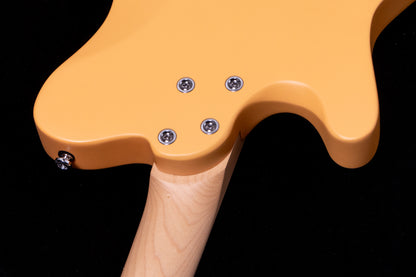 【new】HEX Guitars / NT100M S/BSC