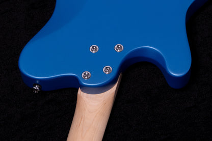 【new】HEX Guitars / NT100R S/MOB