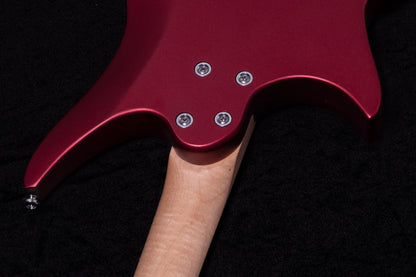 【new】HEX Guitars / NS100R S/RR